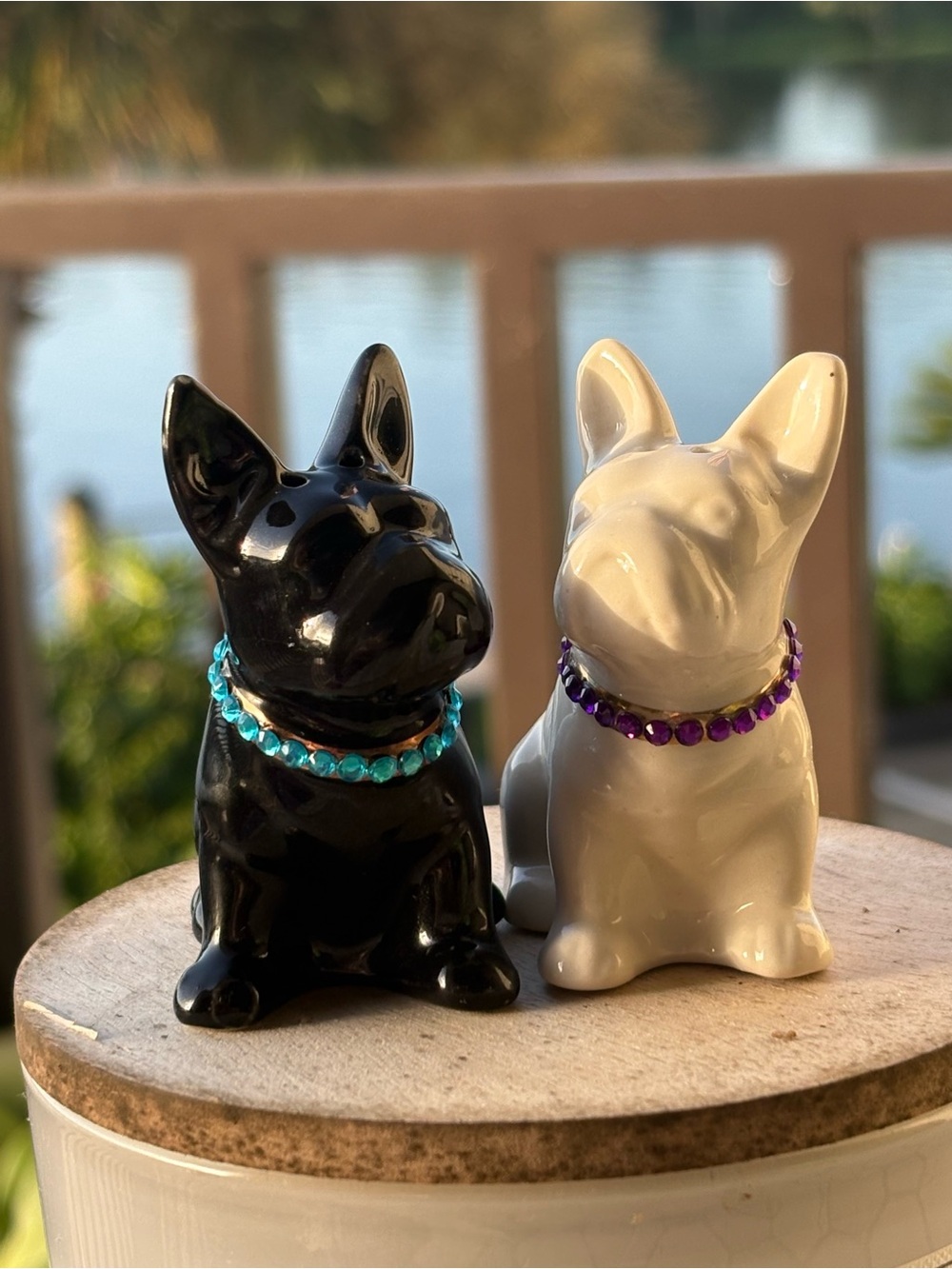 Vintage Ceramic French Bulldog Salt & Pepper Shakers with Colored Gem Collars
